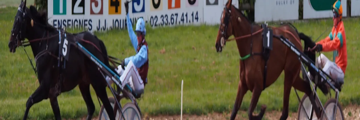 Image Fabricant abri de piscine Argentan