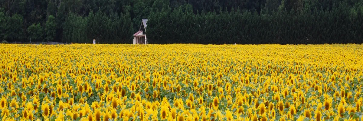 Image Fabricant abri de piscine Centre-Val de Loire