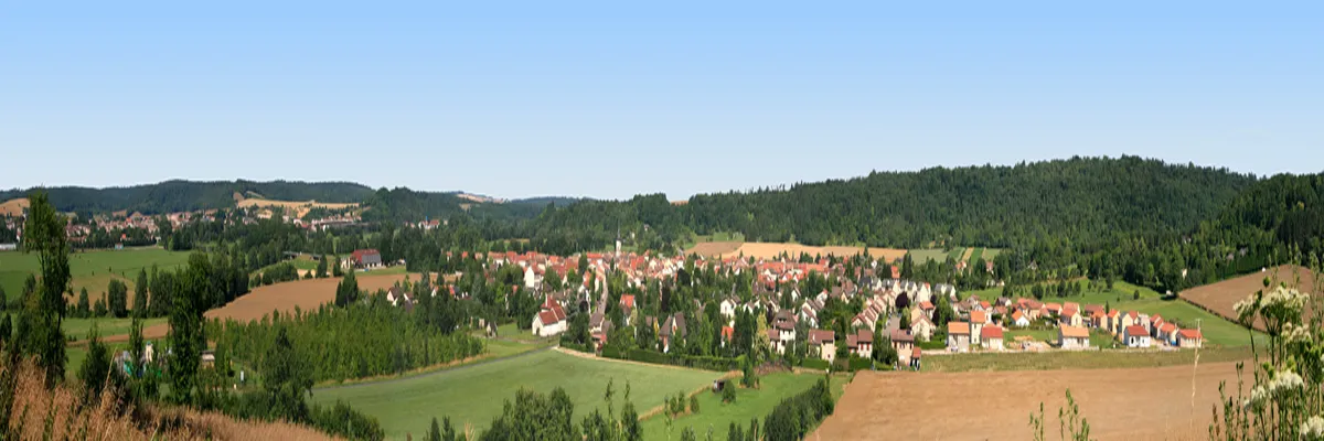 Image Fabricant abri de piscine Commercy