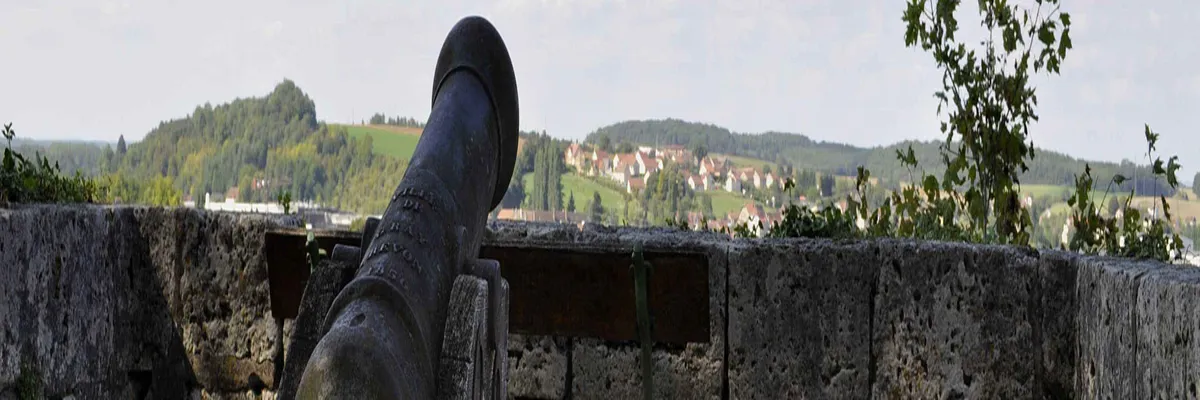 Image Fabricant abri de piscine Gray