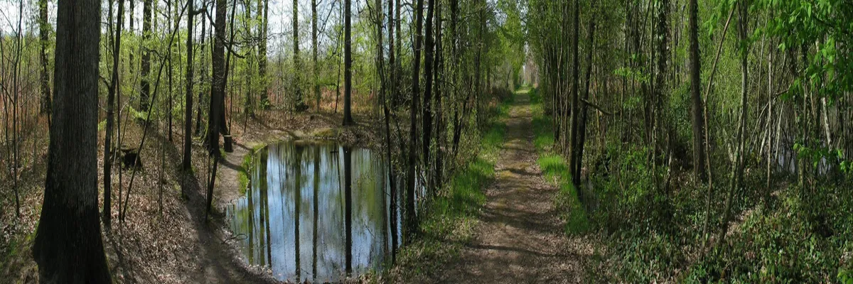 Image Fabricant abri de piscine Indre
