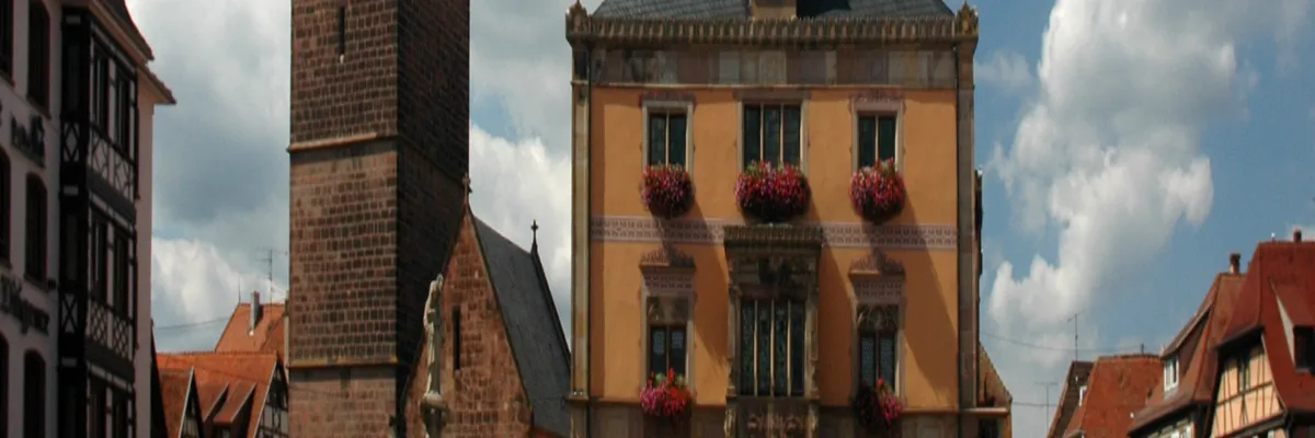 Image Fabricant abri de piscine Obernai