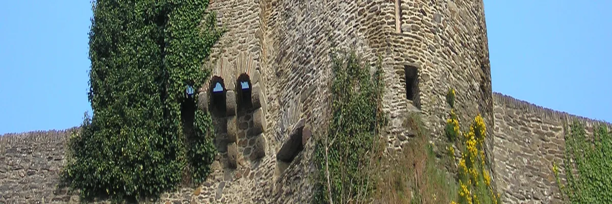 Image Fabricant abri de piscine Saint-Lô