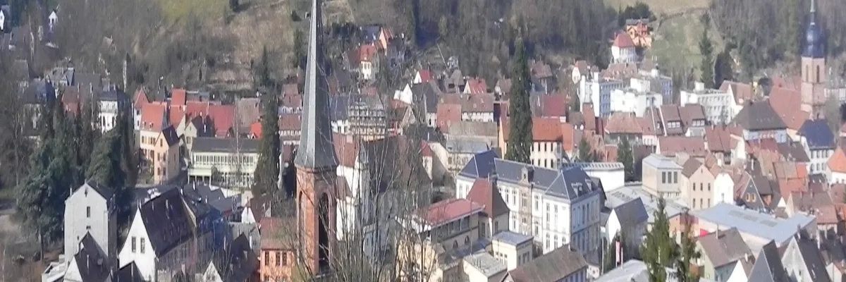 Image Fabricant abri de piscine Sainte-Marie-aux-Mines