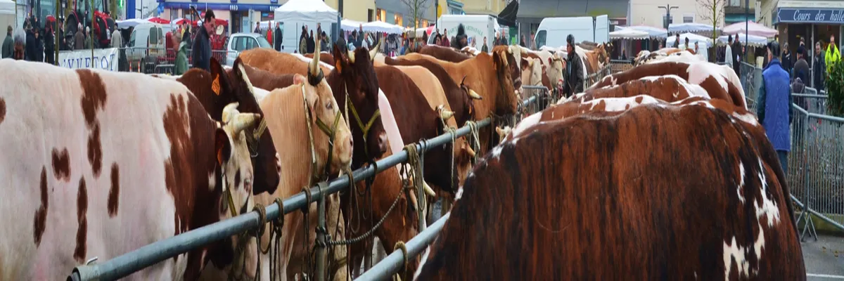 Image Fabricant abri de piscine Yvetot