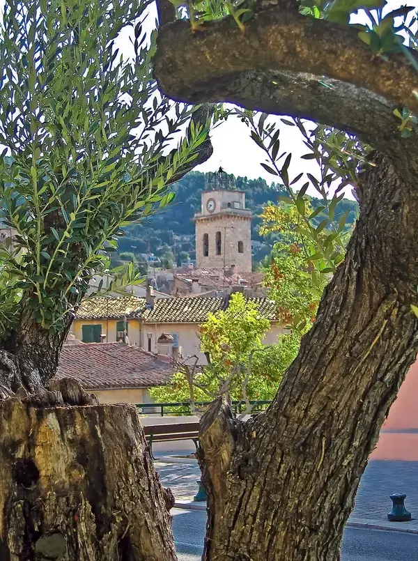 Abri Piscine Amovible Fabricant abri de piscine Ceyreste