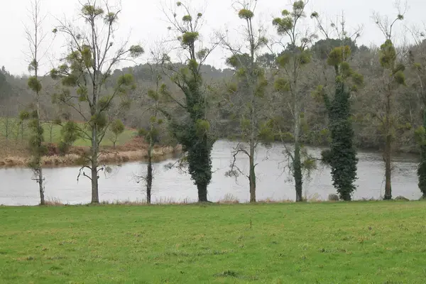 Abri Piscine Amovible Fabricant abri de piscine Muzillac
