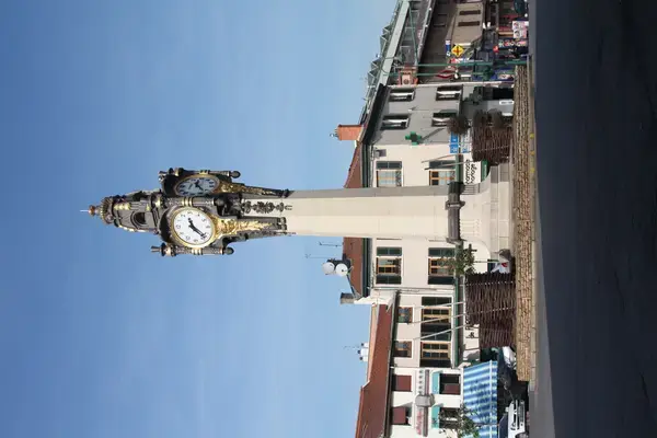 Abri Piscine Amovible Fabricant abri de piscine Tassin-la-Demi-Lune